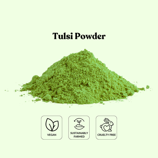 Tulsi Powder