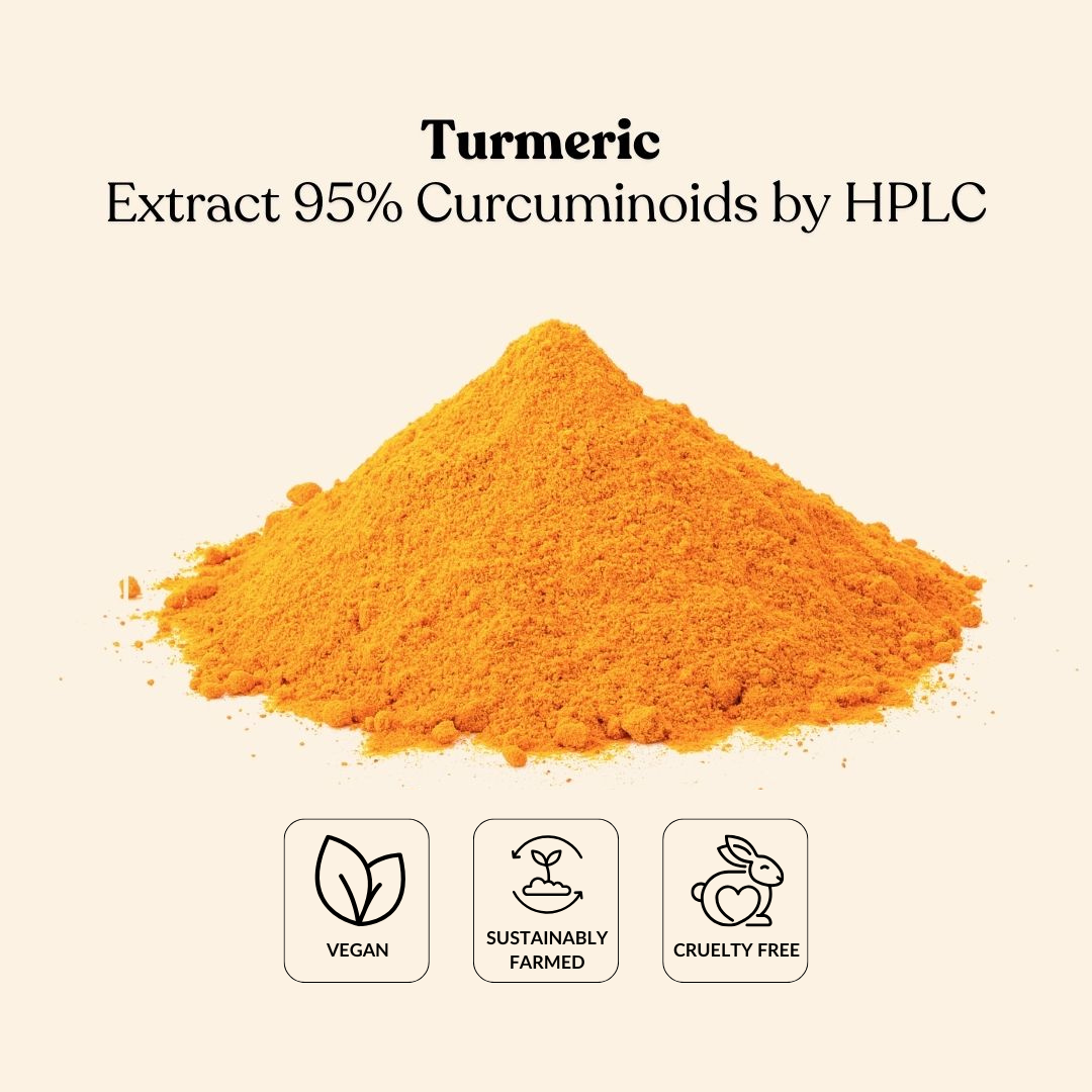 Turmeric Extract 95% Curcuminoids by HPLC