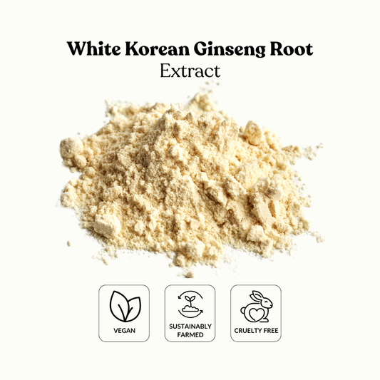 White Korean Ginseng Root Extract