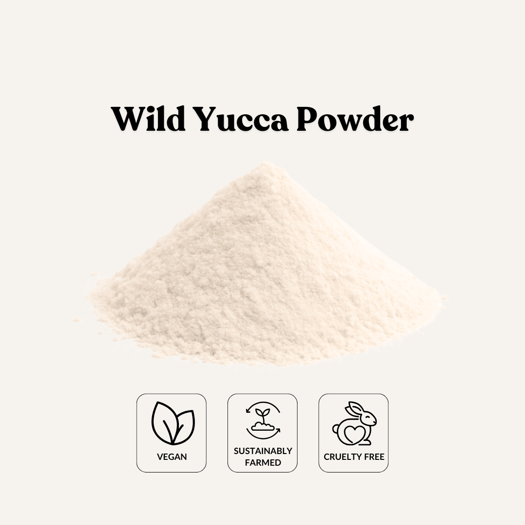 Wild Yucca Powde
