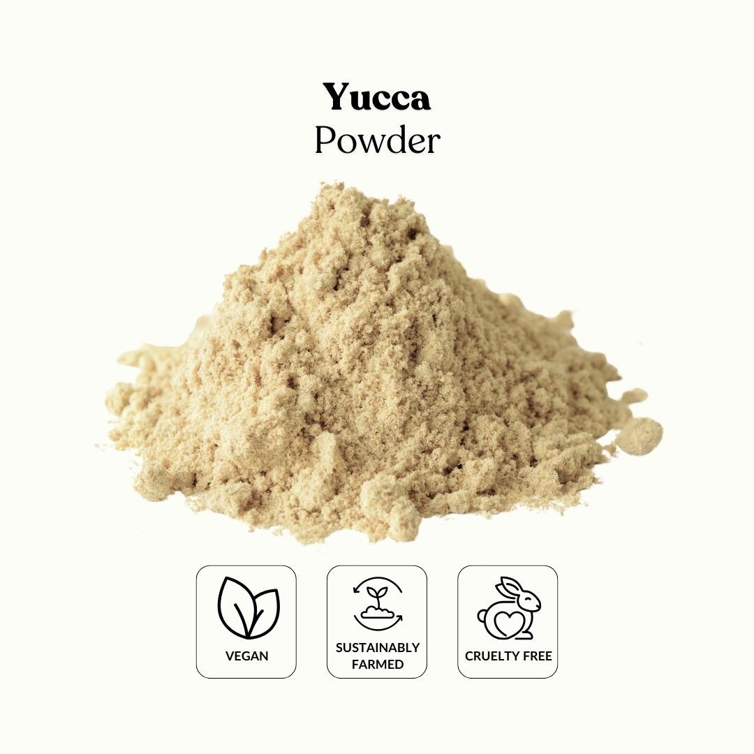 Yucca Powder
