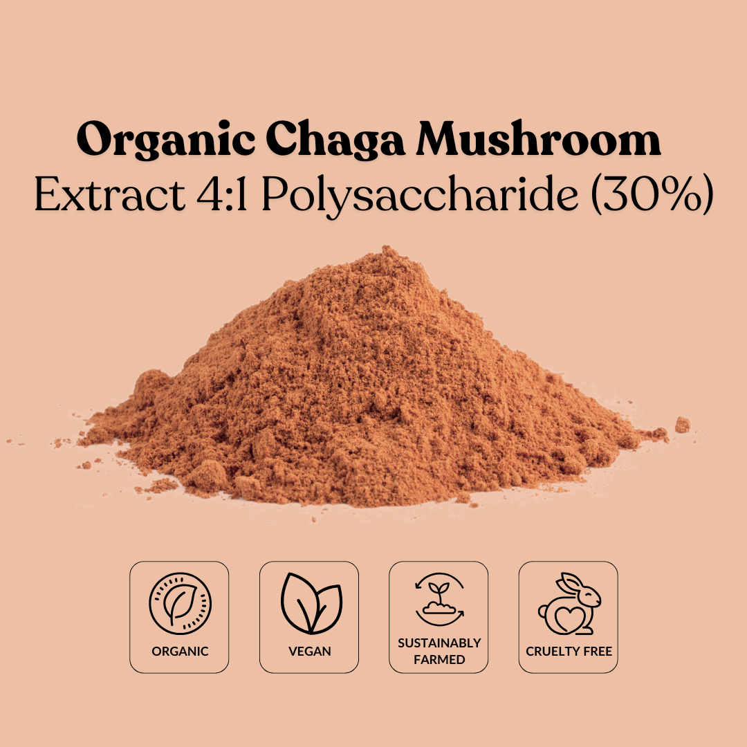 Organic Chaga Mushroom Extract 4:1 Polysaccharide (30%)