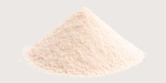 Logistics and Quality Control with Your Psyllium Husk Powder Bulk Supplier