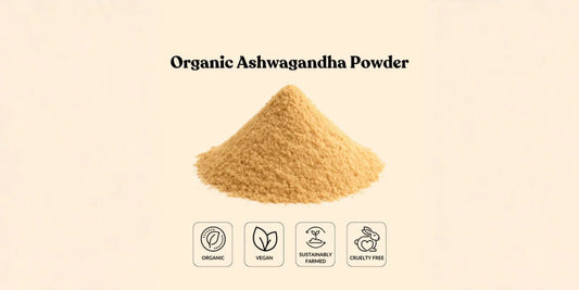 How an Ashwagandha Wholesale Supplier Can Help Scale Your Supplement Formulations.