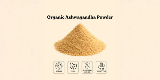 How an Ashwagandha Wholesale Supplier Can Help Scale Your Supplement Formulations.