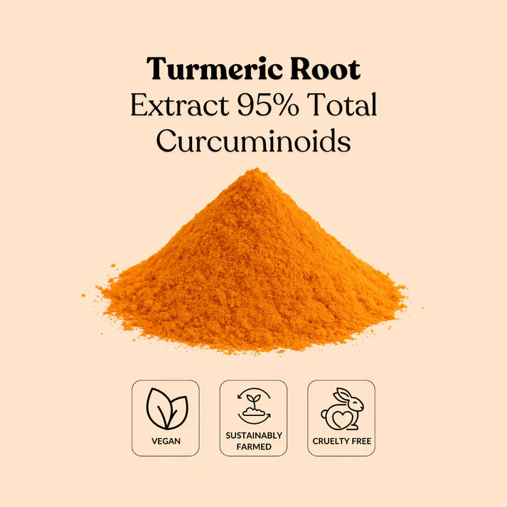Turmeric Powder vs Extract 95% Curcuminoids Supplier_ Total Ingredients 