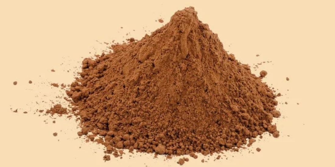 Meeting B2B Demand: Partnering with an Organic Cordyceps Powder Bulk Supplier