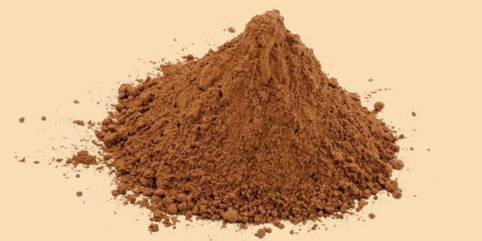 Meeting B2B Demand: Partnering with an Organic Cordyceps Powder Bulk Supplier