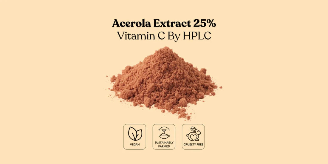 Formulating Plant-Based Supplements: Sourcing Insights from a Bulk Acerola Extract Supplier