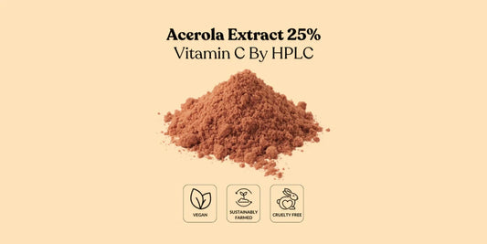 Formulating Plant-Based Supplements: Sourcing Insights from a Bulk Acerola Extract Supplier