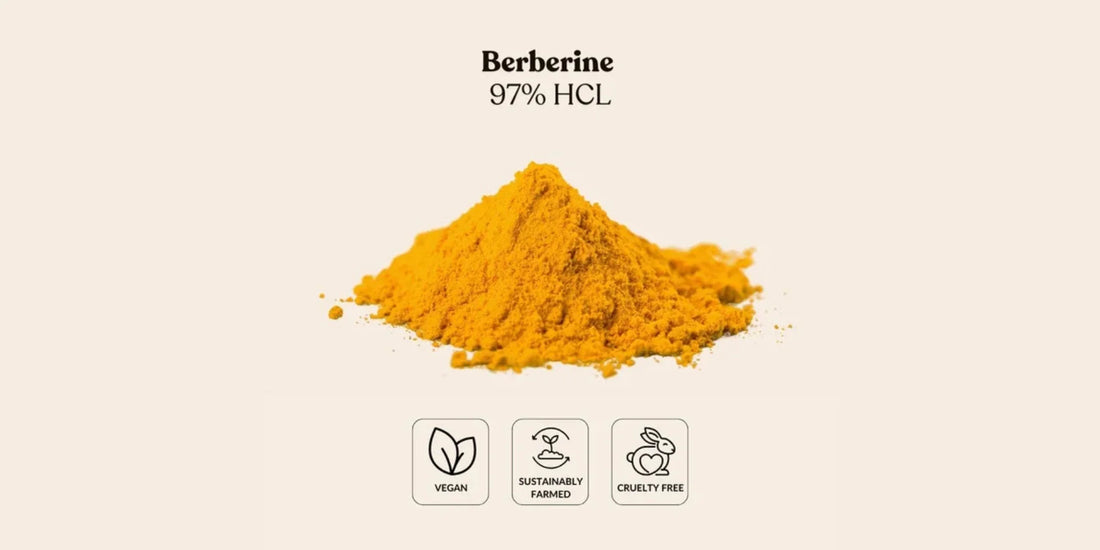 Metabolic Health Trends: Why Your Brand Needs a Reliable Bulk Berberine Supplier