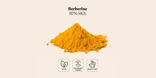 Metabolic Health Trends: Why Your Brand Needs a Reliable Bulk Berberine Supplier