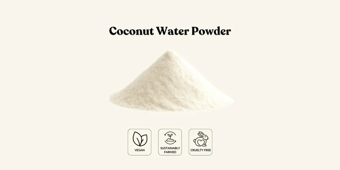 Essential Sourcing Tips for Finding a Top Coconut Water Powder Bulk Supplier