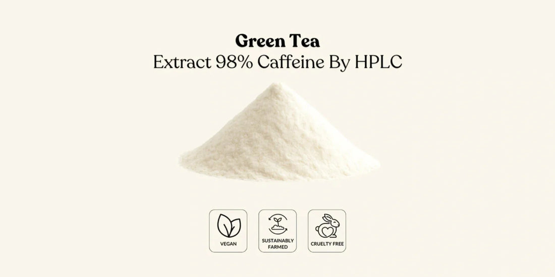 What to Look for When Choosing a Green Tea Extract 98% Caffeine Bulk Supplier