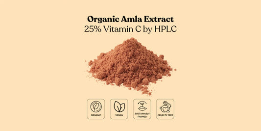 Ayurvedic Ingredients: Securing an Organic Amla Extract 25% Vitamin C Supplier