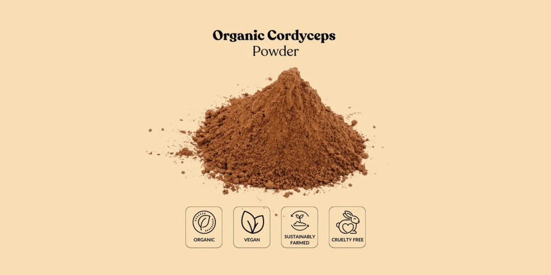 Meeting B2B Demand: Partnering with an Organic Cordyceps Powder Bulk Supplier