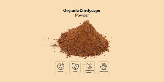 Meeting B2B Demand: Partnering with an Organic Cordyceps Powder Bulk Supplier
