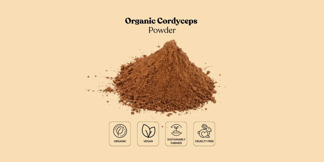 Meeting B2B Demand: Partnering with an Organic Cordyceps Powder Bulk Supplier