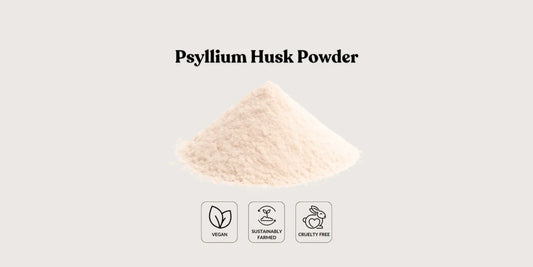 Gut Health Innovations: Sourcing the Best Psyllium Husk Powder Bulk Supplier for Your Formula