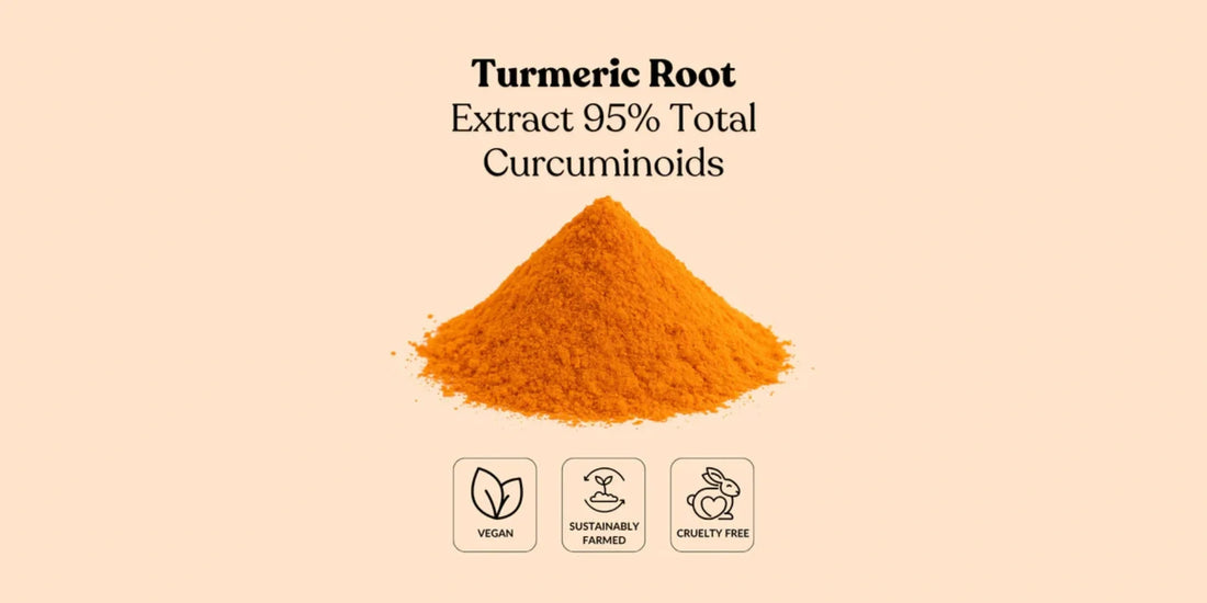 How to Source High-Quality Bulk Turmeric Root Extract 95% Curcuminoids for Nutraceutical Manufacturing