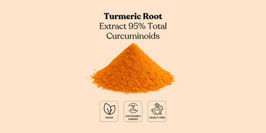 How to Source High-Quality Bulk Turmeric Root Extract 95% Curcuminoids for Nutraceutical Manufacturing