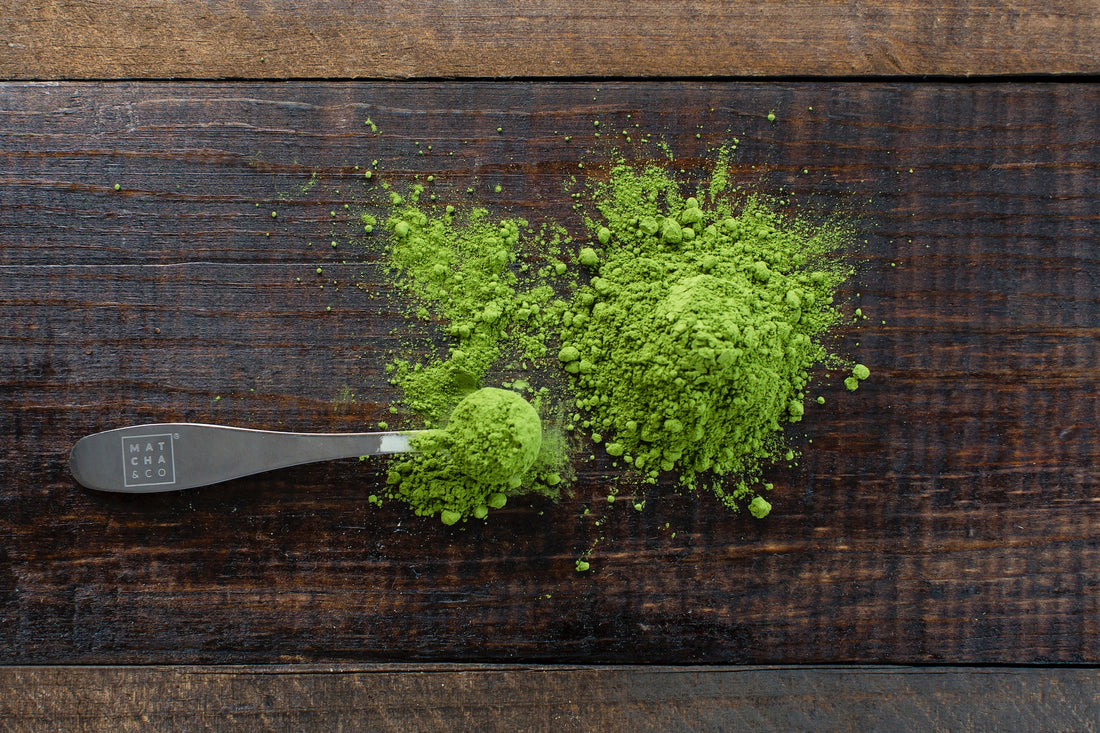 Broccoli Powder: Nutritional Powerhouse for Health – Total Ingredients