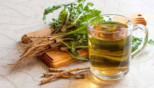 Dandelion Root Powder: Health Benefits