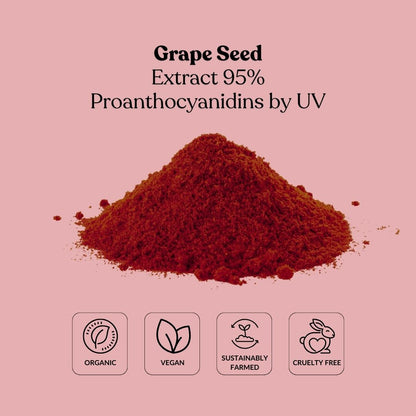 Grape Seed Extract 95% Proanthocyanidins by UV