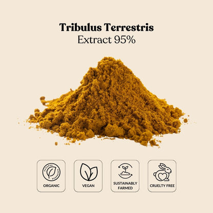 Tribulus Terrestris Extract 95%