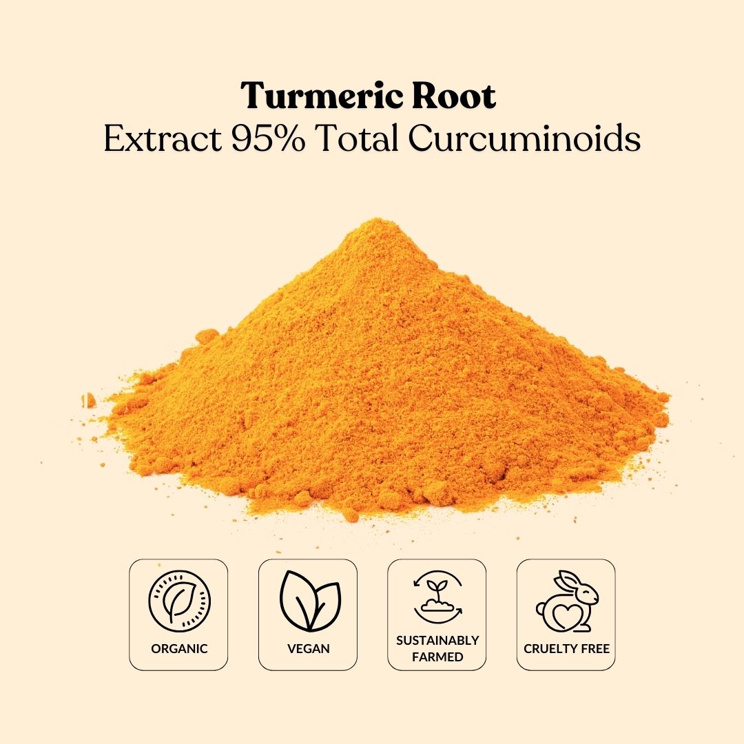 Turmeric Root Extract 95% Total Curcuminoids