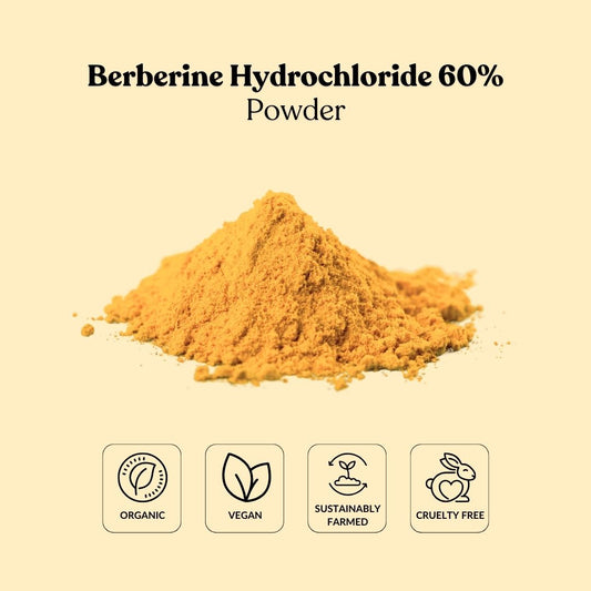 Berberine Hydrochloride 60% Powder