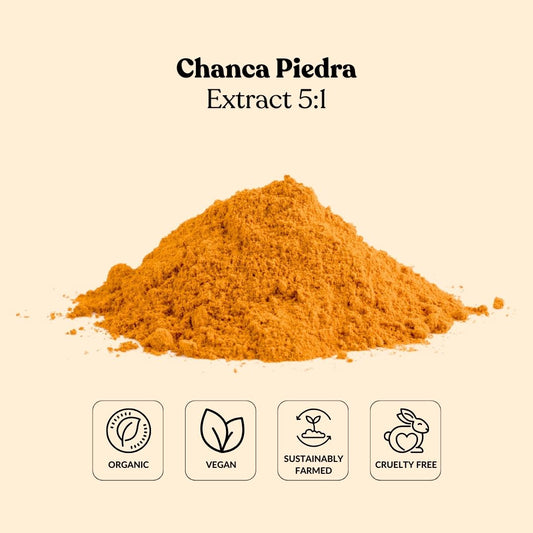 Chanca Piedra Extract 5:1