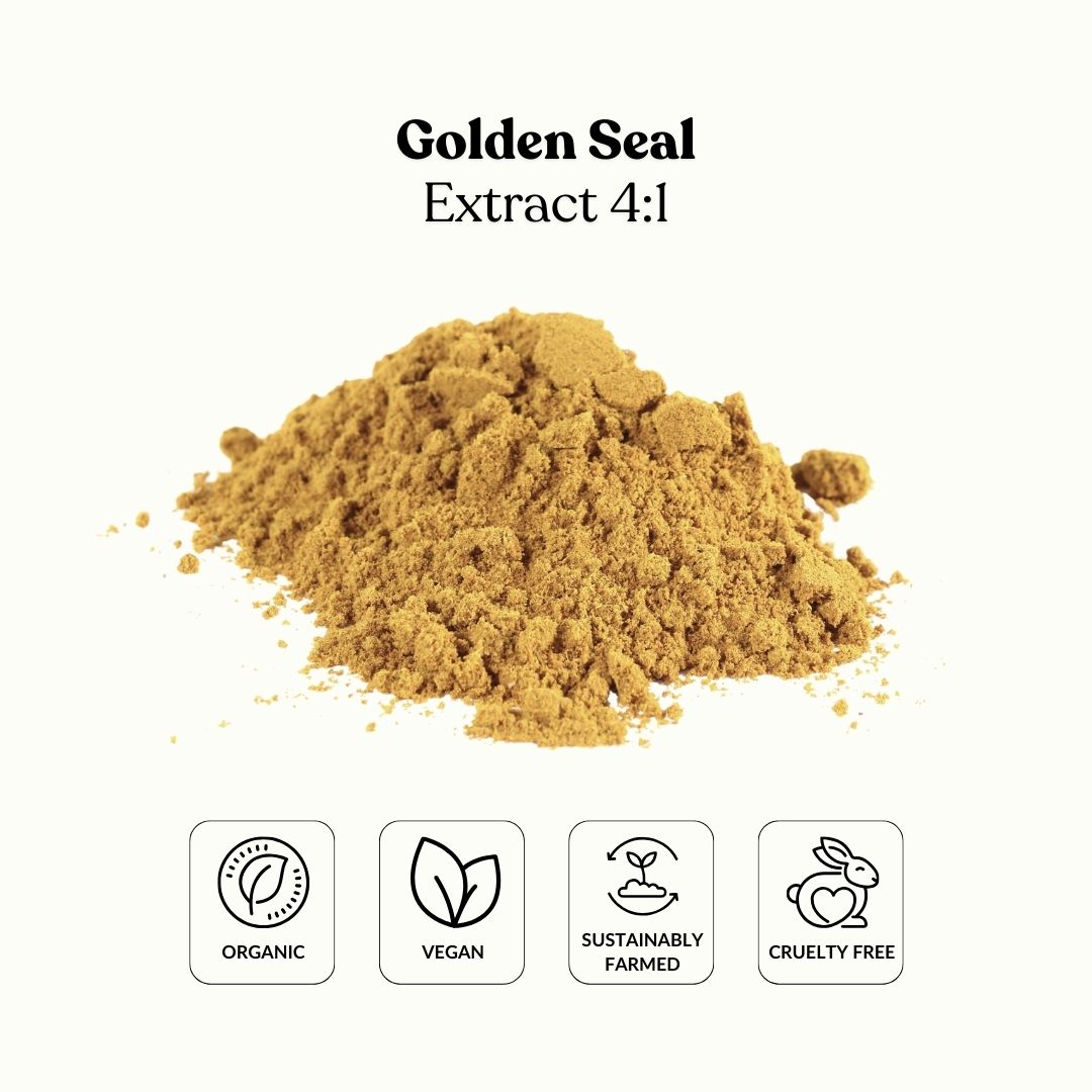 Golden Seal Extract 4:1