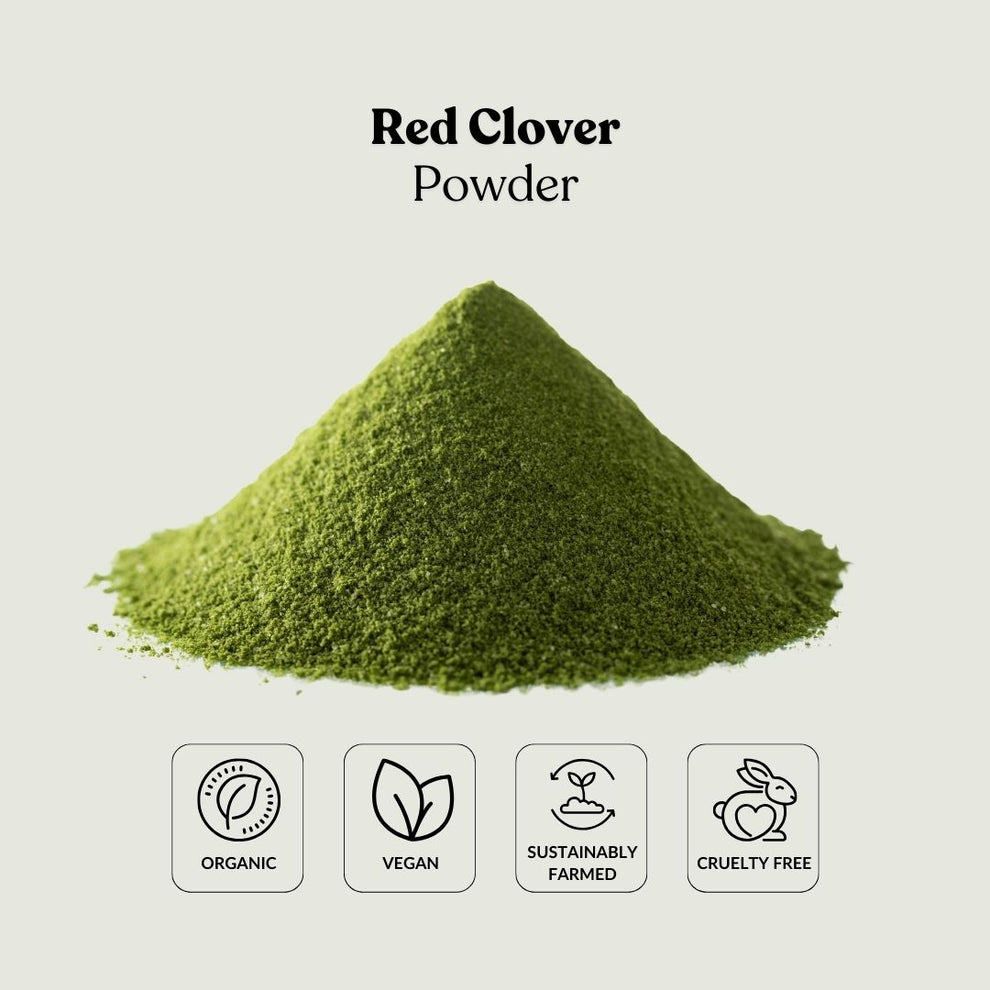 Clover Powder Red Clover Powder – Total Ingredients
