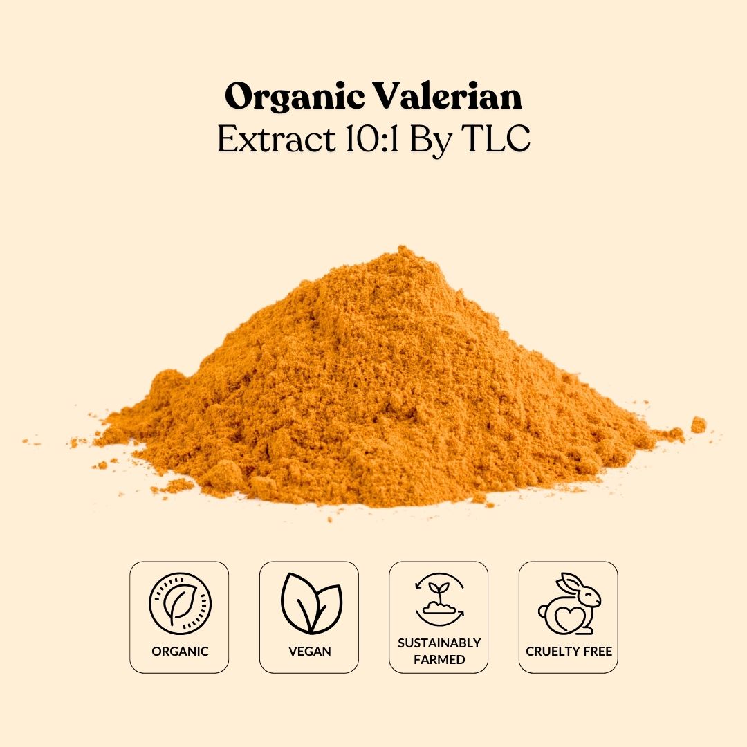 Organic Valerian Extract 10:1 By TLC