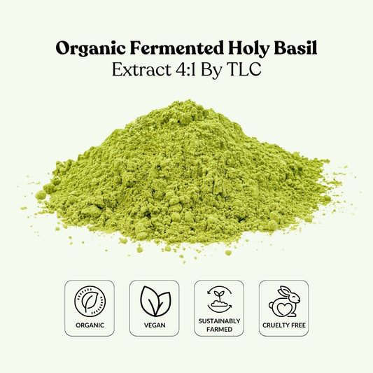 Organic Fermented Holy Basil Extract 4:1 By TLC