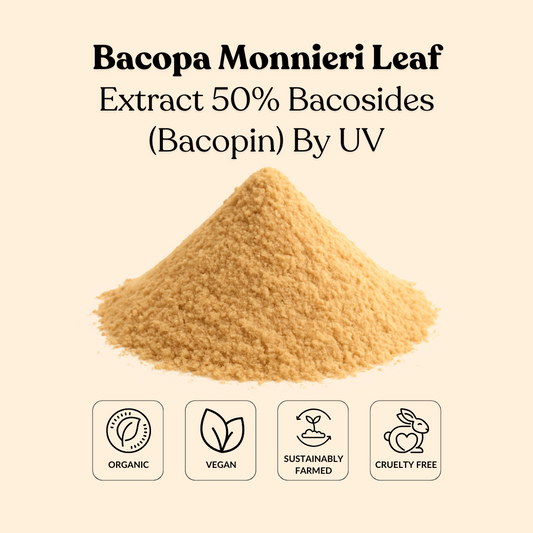 Bacopa Monnieri Leaf Extract 50% Bacosides (Bacopin) By UV
