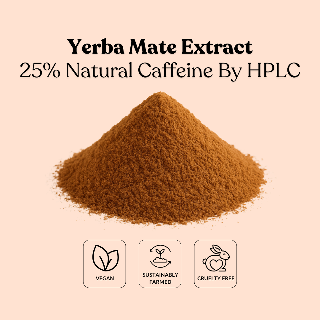 Yerba Mate Extract 25% Natural Caffeine By HPLC