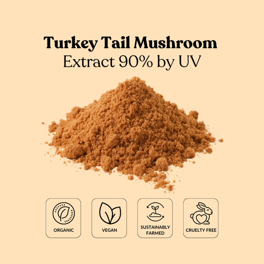 Turkey Tail Mushroom Extract 90% by UV