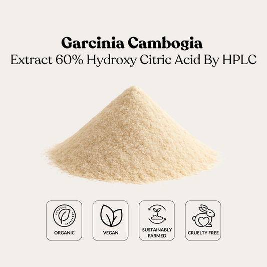 Garcinia Cambogia Extract 60% Hydroxy Citric Acid By HPLC