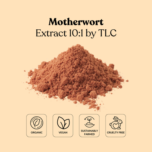Motherwort Extract 10:1 by TLC