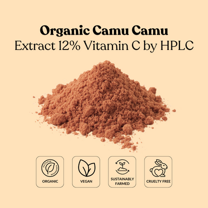 Organic Camu Camu Extract 12% Vitamin C by HPLC