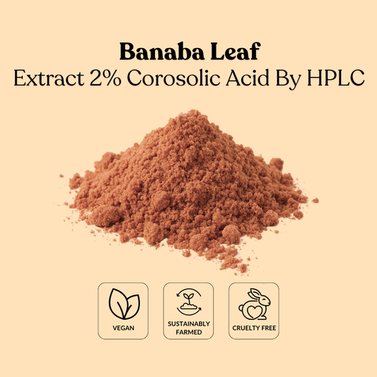 Banaba Leaf Extract 2% Corosolic Acid By HPLC