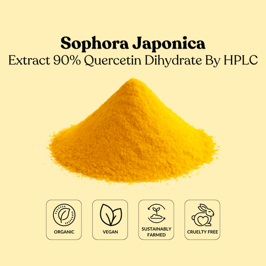 Sophora Japonica Extract 90% Quercetin Dihydrate By HPLC