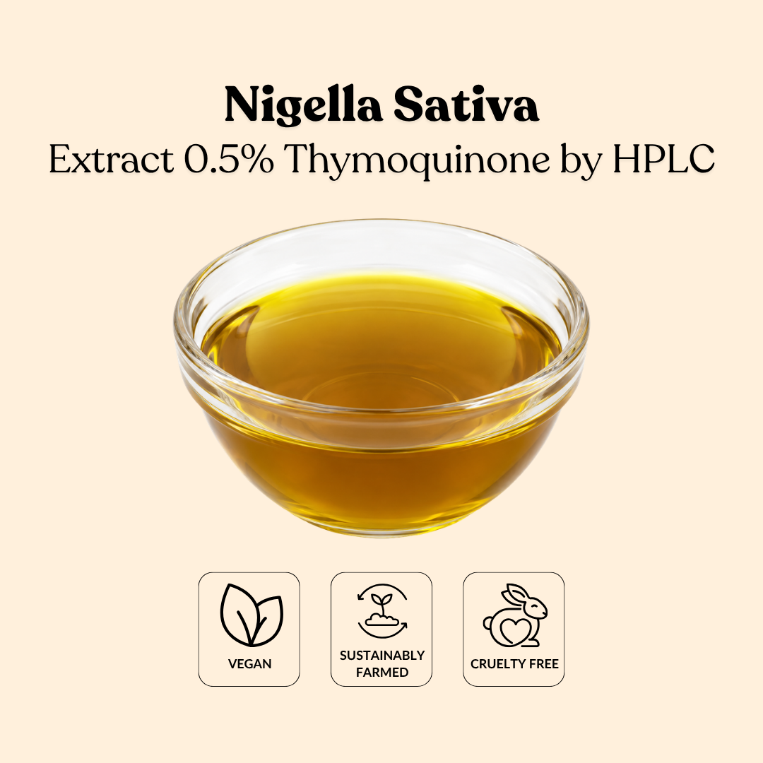 Nigella Sativa Extract 0.5% Thymoquinone by HPLC