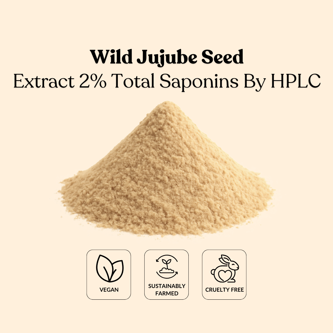 Wild Jujube Seed Extract 2% Total Saponins By HPLC