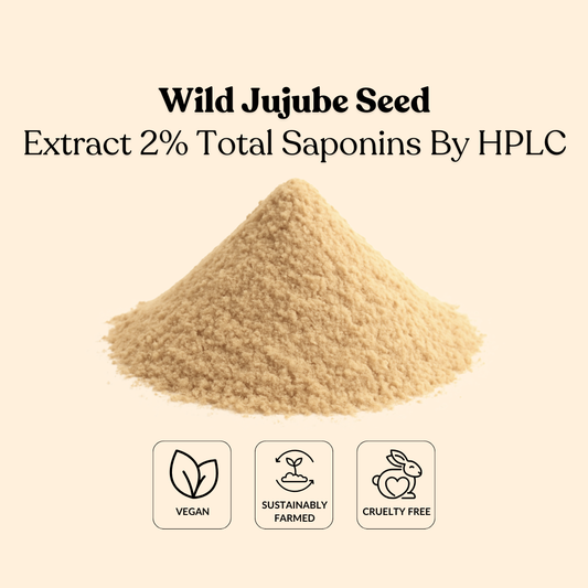 Wild Jujube Seed Extract 2% Total Saponins By HPLC