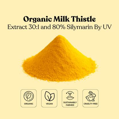 Organic Milk Thistle Extract 30:1 and 80% Silymarin By UV
