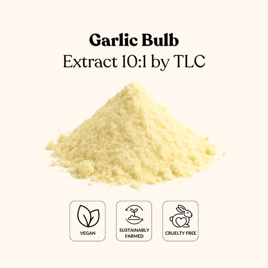 Garlic Bulb Extract 10:1 by TLC