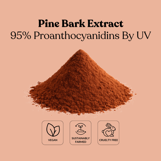 Pine Bark Extract 95% Proanthocyanidins By UV